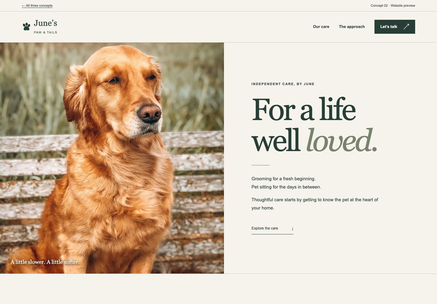 Screenshot of the The Gentle Edit website concept